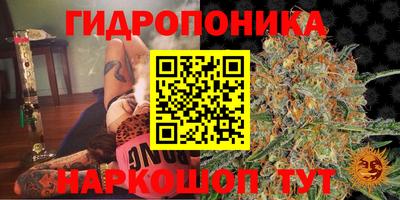 каннабис Заволжье